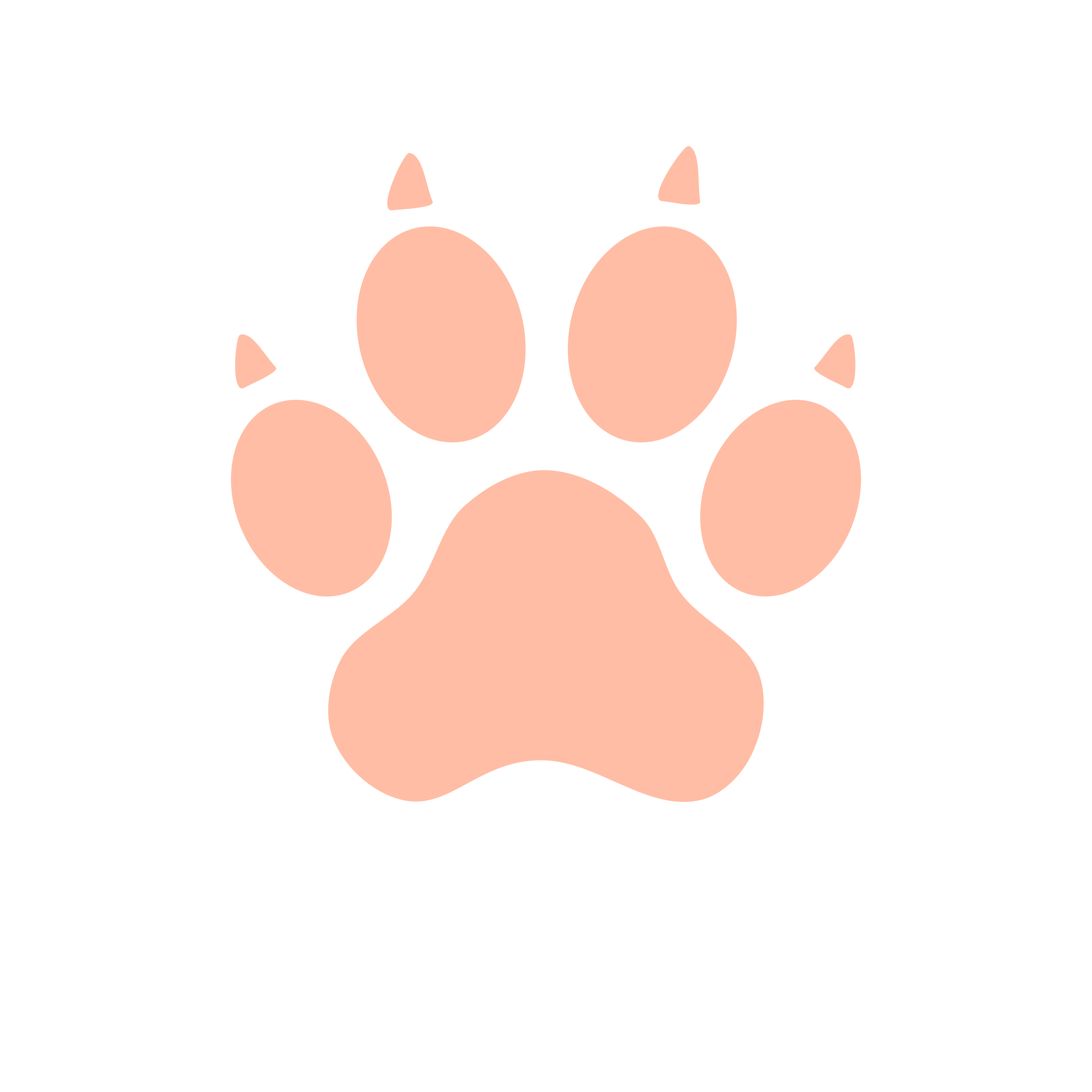 Catties paw print